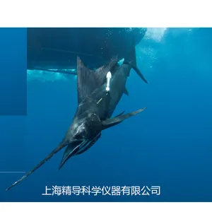 SeaTag鱼类生态追踪仪鱼类标记卫星定位轨迹跟踪低成本标记