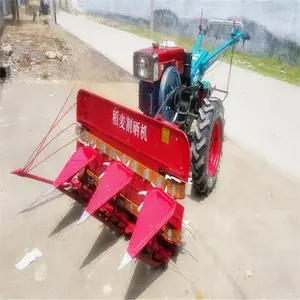 �߸������� �������ո�� ������30������ɹ��