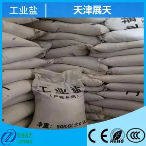 天然海盐 日晒盐晶体 氯化钠 精制工业盐 不规则颗粒状