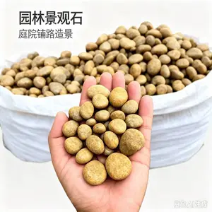水处理滤料 承托层鹅卵石 园区景观 铺路石 景观石 规格齐全