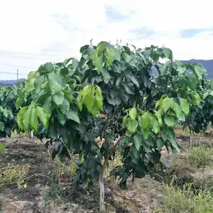 �������� ���� 091�޺��ָ� ����ֱ��