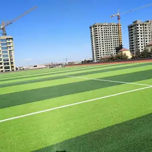 ***足球场人造草坪设计 免费设计