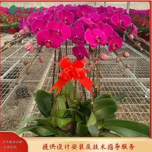 供应1.8米宽幅活动苗床 苗床长度按需定制 航迪活动苗床加工厂