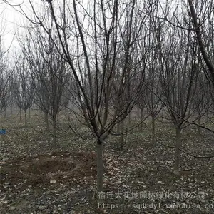 ���ۡ������� �� ��������С�硿6����7����8����10���ֺ��Ļ�