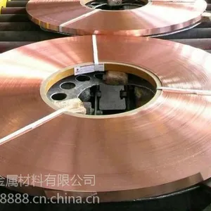 C19010 Hͭ�Ͻ����ͭ��
