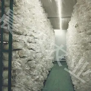 晨超杏鲍菇网格架-河北晨超(在线咨询)-网格架