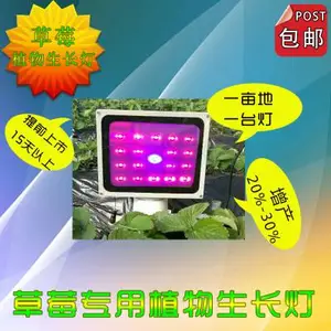 樱桃大棚补光灯的安装-诺达植物补光灯(在线咨询)-补光灯