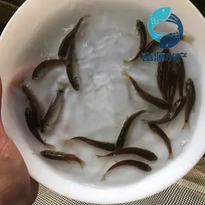 ����������ֳ��������������������������