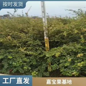 �㶫�α��� ɳ�ͼα��� �������� �α����� ���ݼα��� �����α���