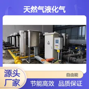 全自动高效燃气锅炉 智能恒温商用采暖设备节能明显
