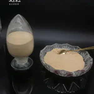Ҷ����2A_����Ҷ����2A_Ҷ����2A��������