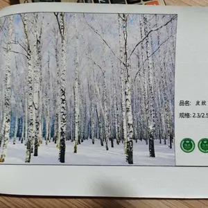 ����ֱ�� �ڻ����� �޷�ʮ���� ѩ���� ���ܼ�����