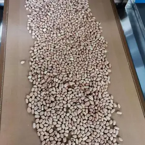 坚果微波杀菌烘干设备 食品机械杀菌设备 超高温杀菌机