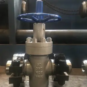 ��̩���� ��ѹ����բ�� Z83Y-250 DN100 ���� ������