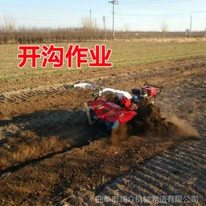 ����186�ͳ��������� ����������԰������ 11����������ͼƬ