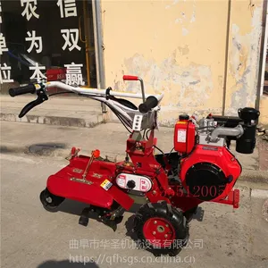 ����186�ͷ��������� ��ͷ��ֲ��¢�� ·��ʯ������
