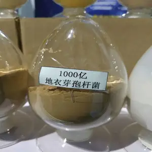 ɽ�������ѿ�߸˾��������� �����ý����ѿ�߸˾�����