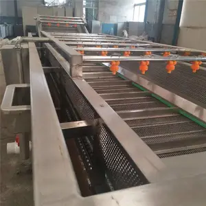 菠菜芹菜清洗机 豆角清洗机器 黄瓜气泡清洗机 源头厂家