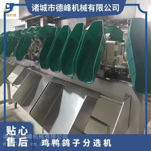 水果自动分级器 称重型鸡鸭分选机10-500kg