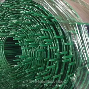 ��̩��ֳ�� ɢ������Χ�� ������