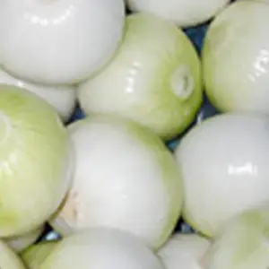 �����ӯRY-128A�����ȥƤ��
