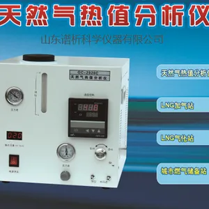 山东谱析GC-20 液化天然气中氮气、氧气、甲烷检测仪