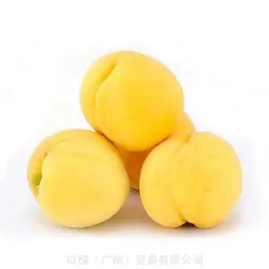 以色列进口浓缩黄桃浆 可订桃清汁