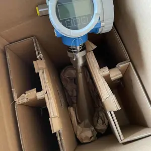 �¹� E+H FDU91-RG1AA �����ܳ�������λ����������̽ͷ