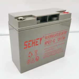 SEHEY��������SH200-12��ά��12V200AH����ʽ��ҵ���ܵ�ƿ