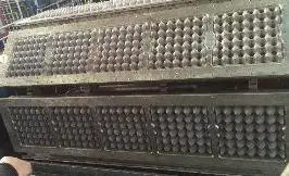 蛋托设备-金盟机械-鸡蛋托设备厂家