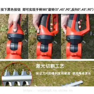 ���ʽС�ͻ��������޼��� ·����ʳ��ʽ԰�ֵ綯����� ԰�չ�����֦��