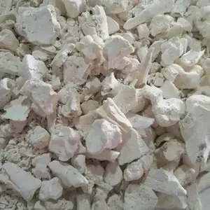 优质骨炭