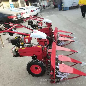 �����ַ�������ɹ�� ��С�͸�˻� �ǲ���ֳ�����ո��