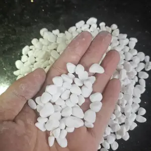 供应景观铺路白石子-奶油白色水洗石-星空白米石6-9毫米-水晶白色洗米石