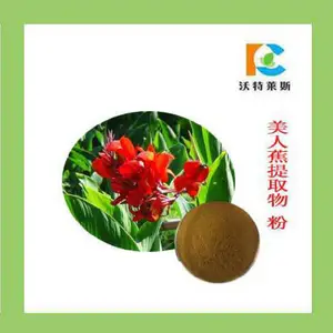 ���˽���ȡ��10:1 20:1 ���˽�ԭ�� ���ֹ�� ����