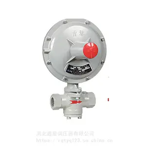 RTZ-H燃气调压器 河北鑫星燃气减压阀 小流量灶具燃气调压器