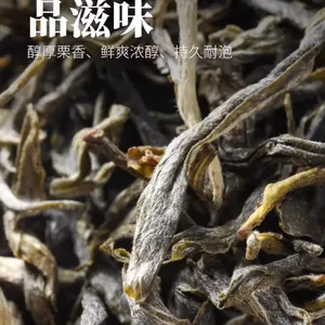云州问境·有机古树绿茶 2025年春茶清新清香高品质健康茶
