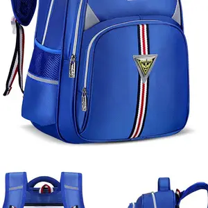 Сѧ����Ů��1-3-6�꼶˫�米��������ˮ��ͯӢ�׷����VX18221456976