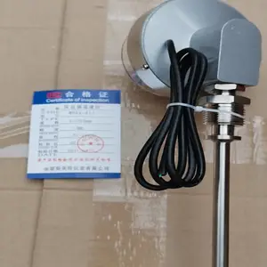 ��ӵ�˫�����¶ȼ�\WSSX-411B\0-100��\500mm\������