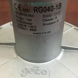 RG040-1B|RG040-2B ԭװ���������GECAȼ����ѹ�� ��ѹ�� ��ѹ��