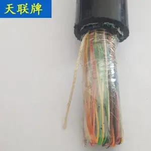 HSYV 2X2X0.5通信电缆 天联牌 HSYV22 10X2X0 5通信电缆
