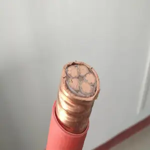 BTTRZ�����ʷ������