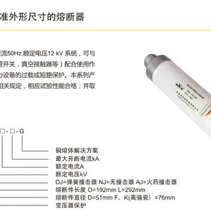 XRNP-24KV/1A