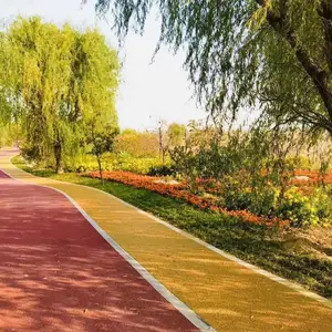 云南昆明彩色透水混凝土路面地坪材料