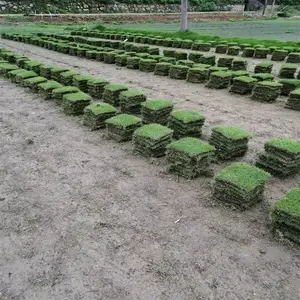 ���ݰ�����Ľ���ƺ ��·�̻���ƺ ��ʱ���ƺ