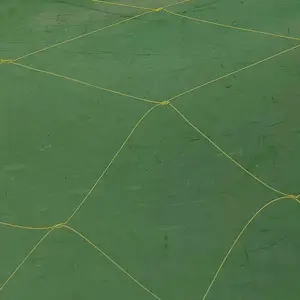 �ӹ�����UAV Catching Net ���е��������� �������߷��Ӵ�����������