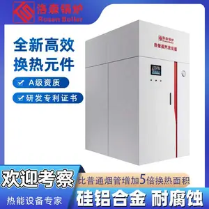 超低氮 大型 小型 微型 天燃气 智能 燃气蒸汽发生器厂家