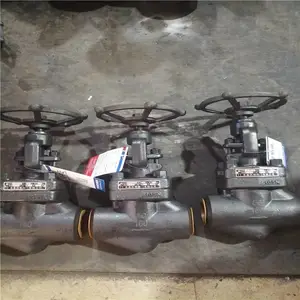 ���ӽ�ֹ�� J61H/Y-800LB �ʹ�A105N F11��������͸ֽ�ֹ�� DN25 ������ֹ��