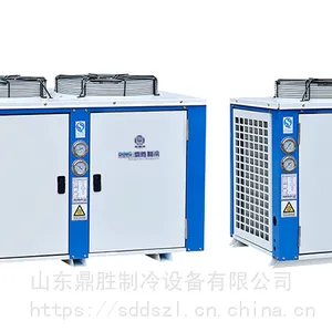 供应鼎胜u型箱式氟利昂制冷机组比泽尔制冷机组