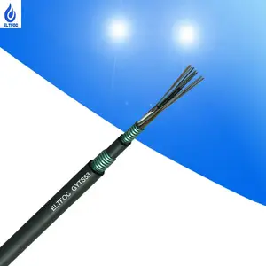 ELT12о��ģֱ��ʽ�ִ�����GYTS53����ֱ��